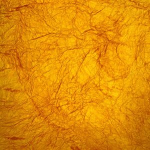 papier texture cuir jaune FC60-24Y